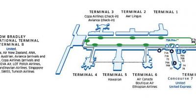 Lax mapa de la terminal b